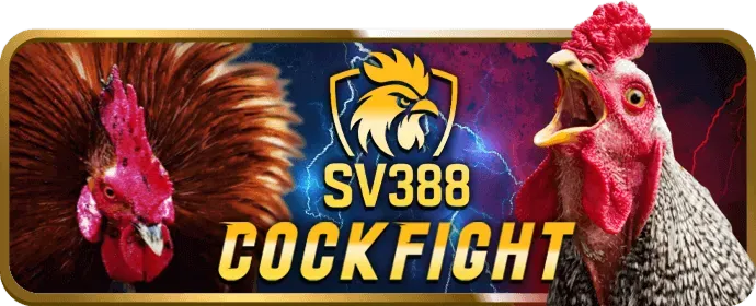 Hỗ trợ chat trực tuyến 24/7 tại k88bet
